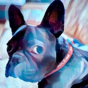 Meet your Posher, Don